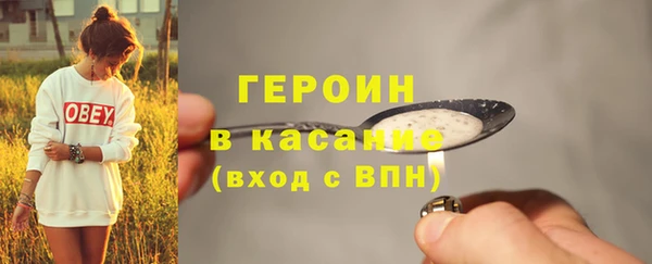 прущие грибы Гусиноозёрск