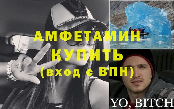 прущие грибы Гусиноозёрск