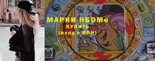 прущие грибы Гусиноозёрск