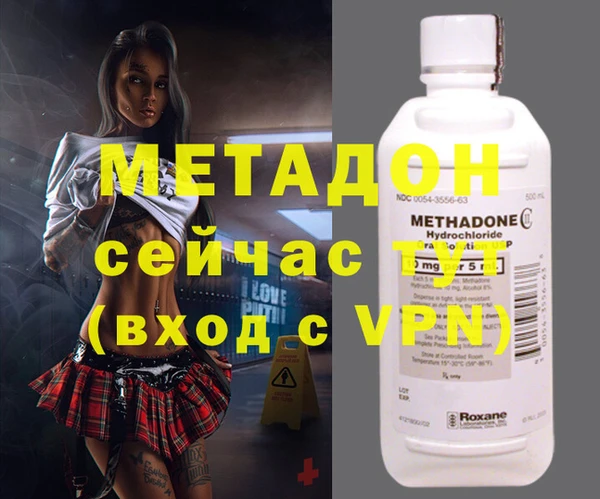 прущие грибы Гусиноозёрск