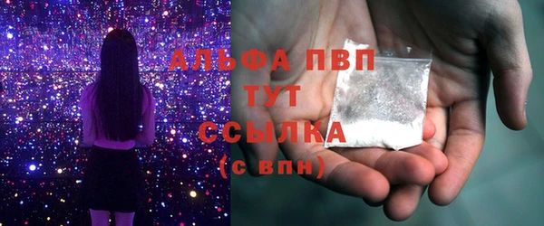 прущие грибы Гусиноозёрск