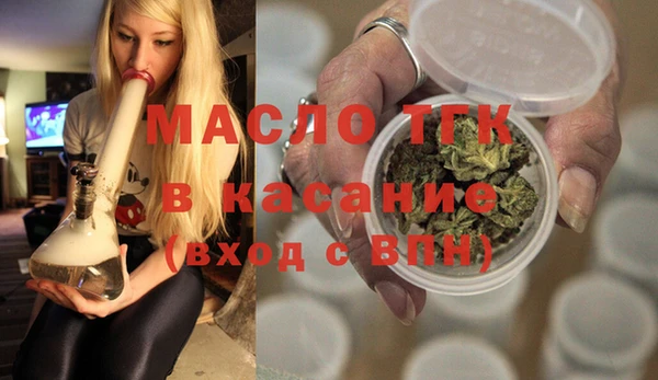 прущие грибы Гусиноозёрск