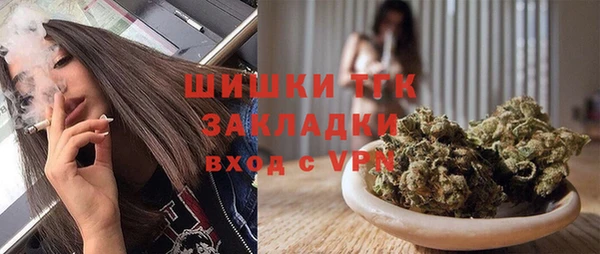 прущие грибы Гусиноозёрск