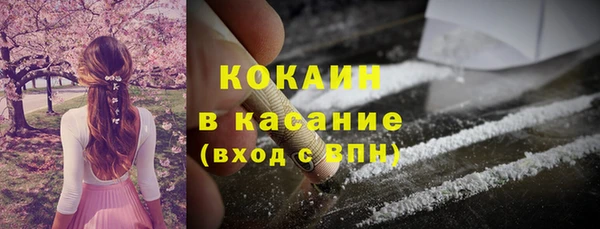 прущие грибы Гусиноозёрск